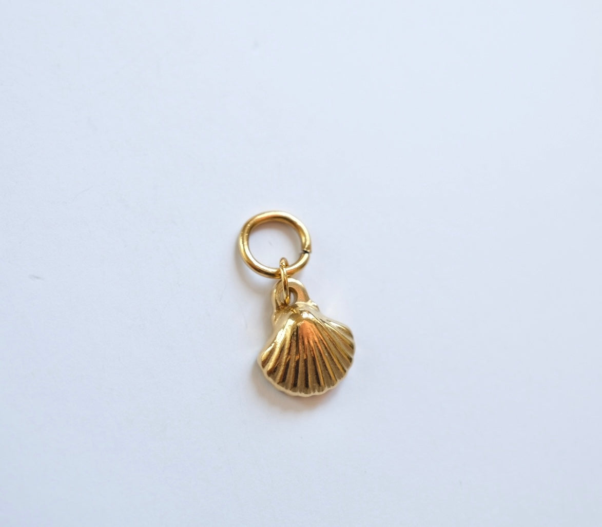 Shell charm C2
