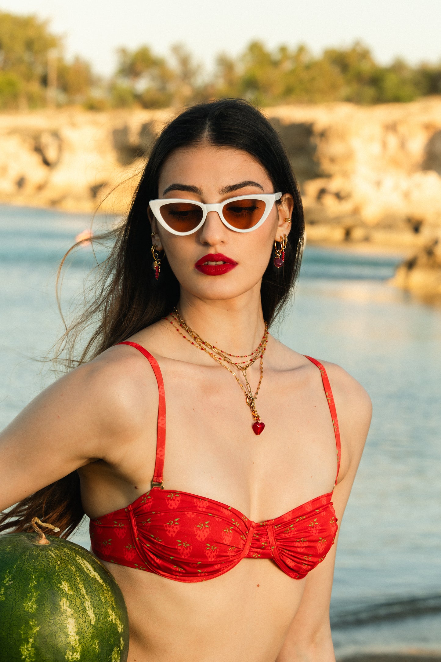 Dainty red necklace N27