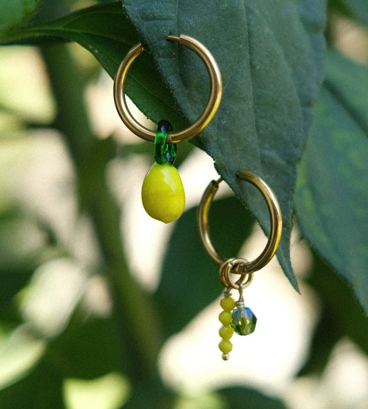 Glyko toy koutaliou lemoni earrings