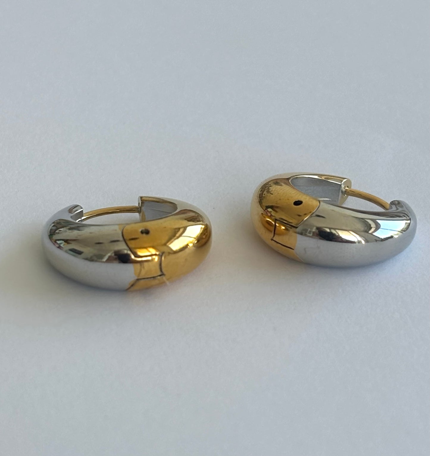 Dual Tone Hoop Earrings E66