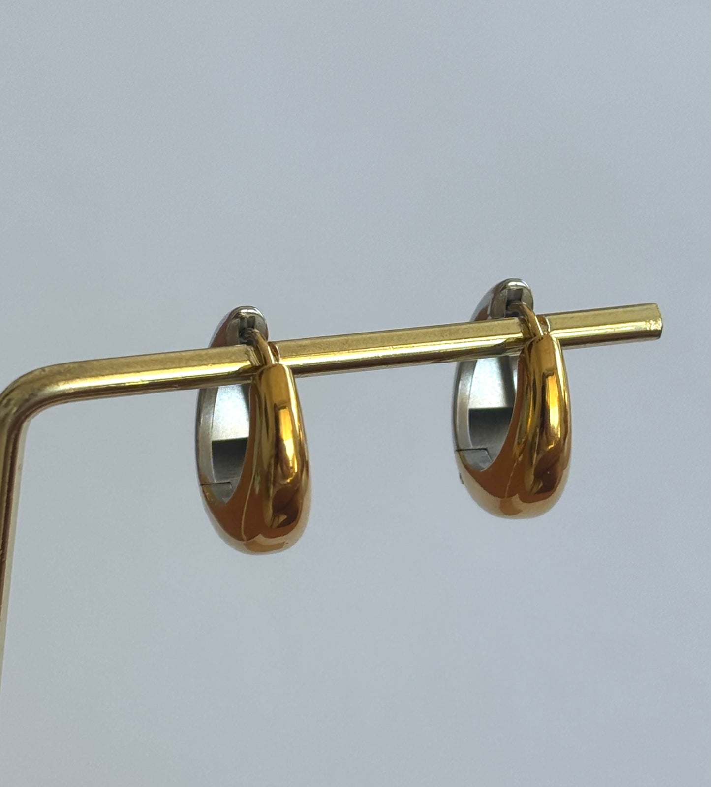 Dual Tone Hoop Earrings E66