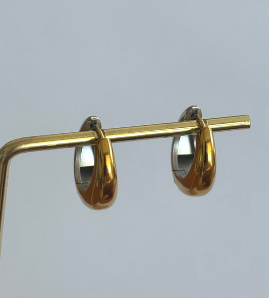 Dual Tone Hoop Earrings